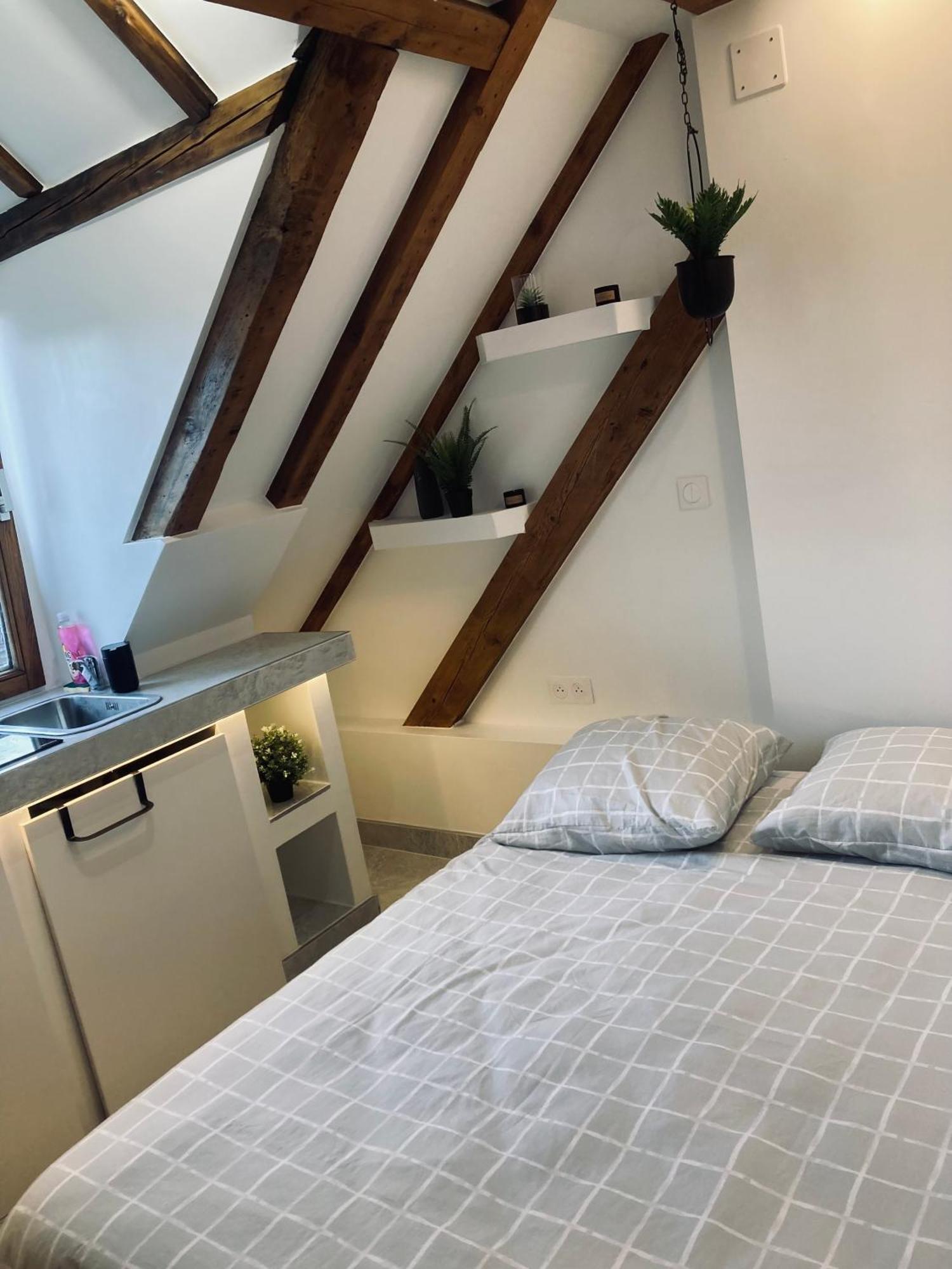 Petit Nid Sympa A Strasbourg Apartamento Exterior foto